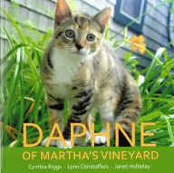 Daphne the cat